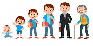 Pertumbuhan dan Perkembangan Fisik PJK III-3