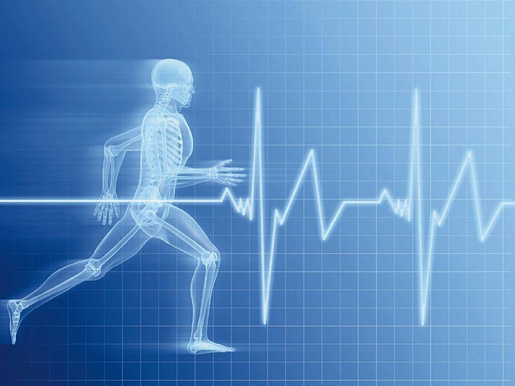 Belajar Motorik. PJKR. V.1